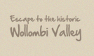 footer-visit-wollombi-1.png